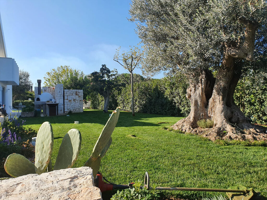 Giardino privato